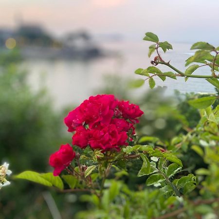 Mundaka Beachfront House 외부 사진