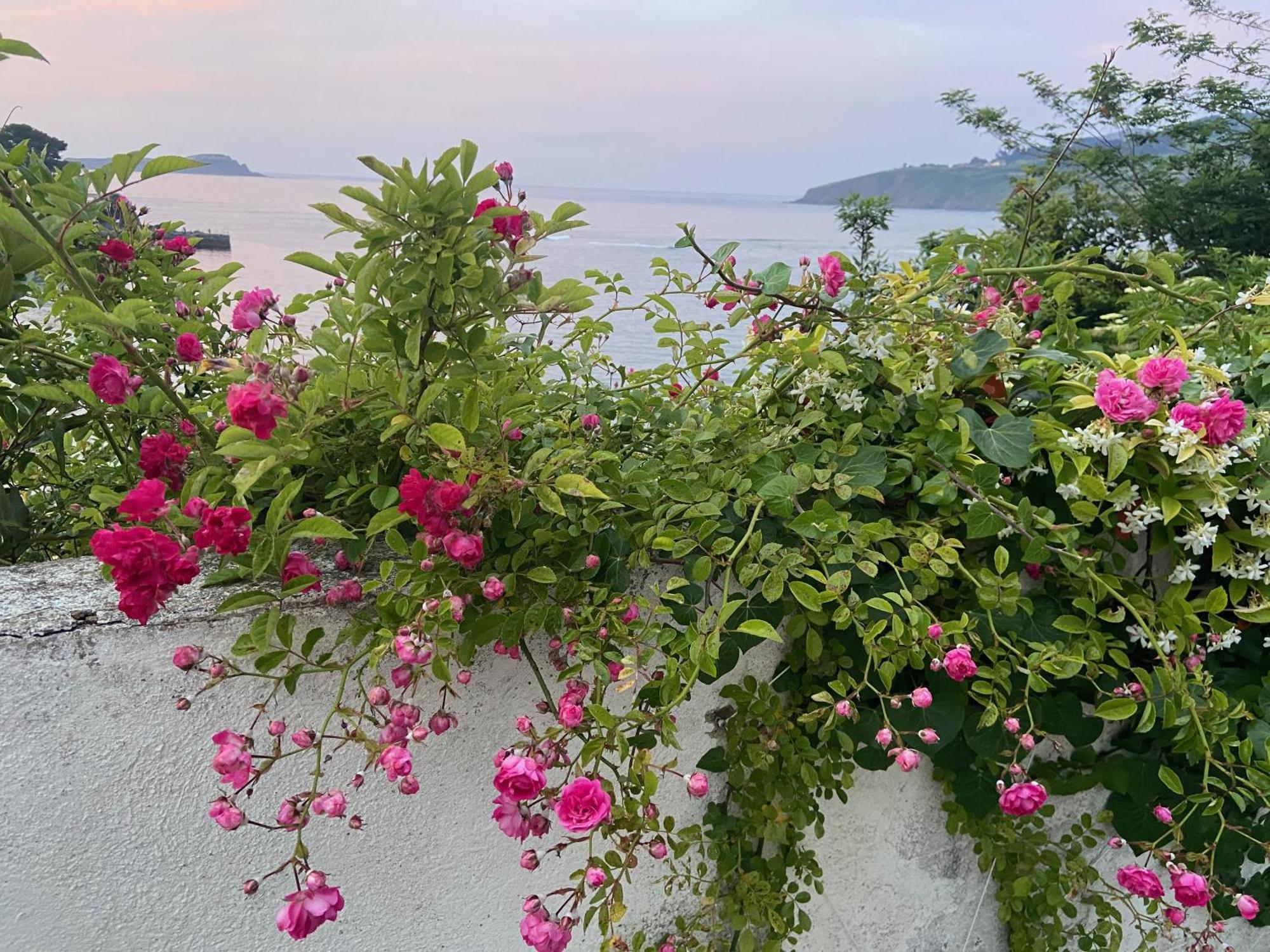 Mundaka Beachfront House 외부 사진